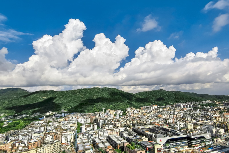 陳民喜 《白云山上白云飄》榮獲二等獎.jpg